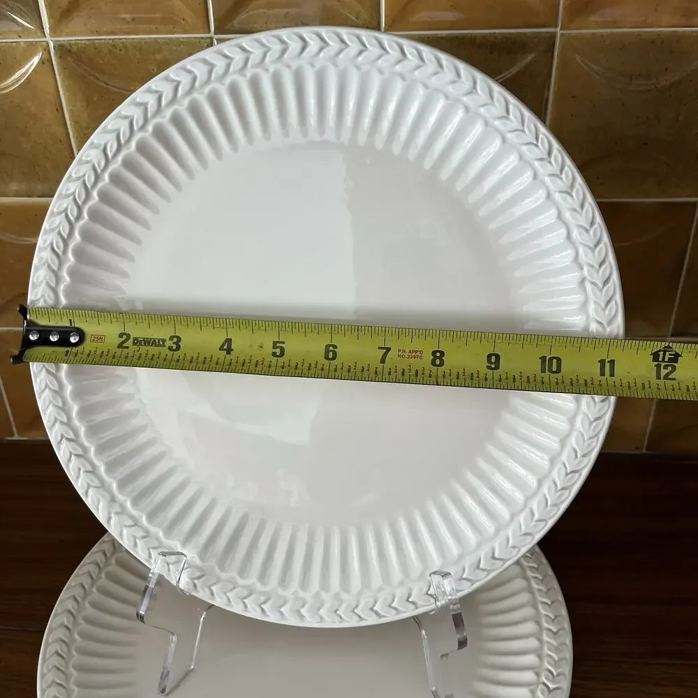 American Atelier Athena 5166 Ironstone Dinner Plates 11.5” Set of 2